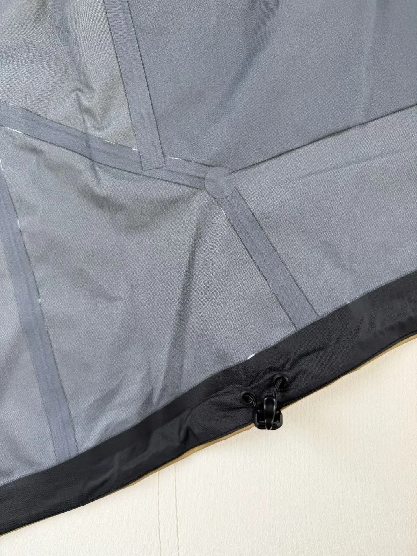 Arc'teryx Beta SL Jacket (Canvas) — 图 2