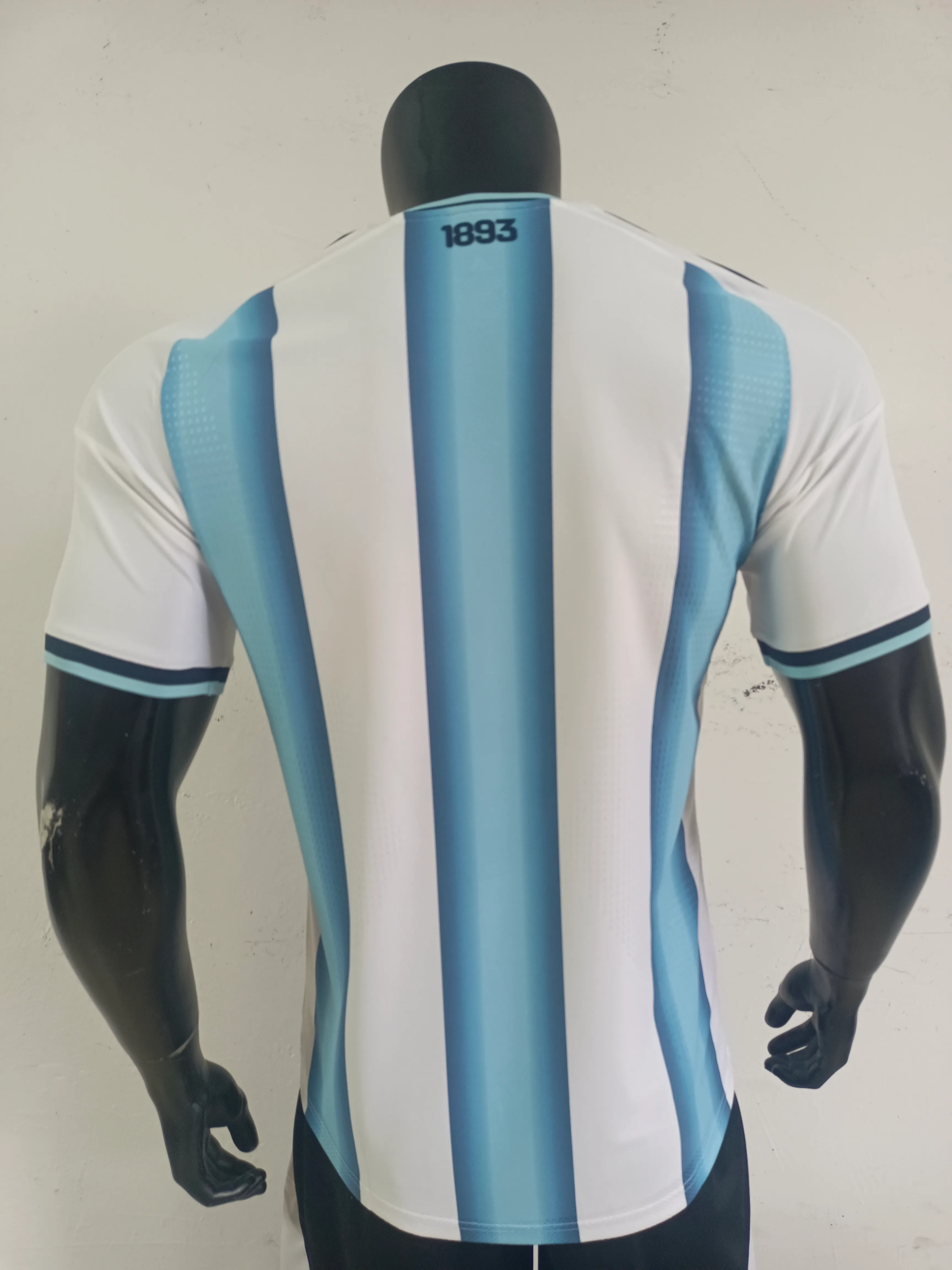 Argentina National Football Jersey - Home — 보기 2
