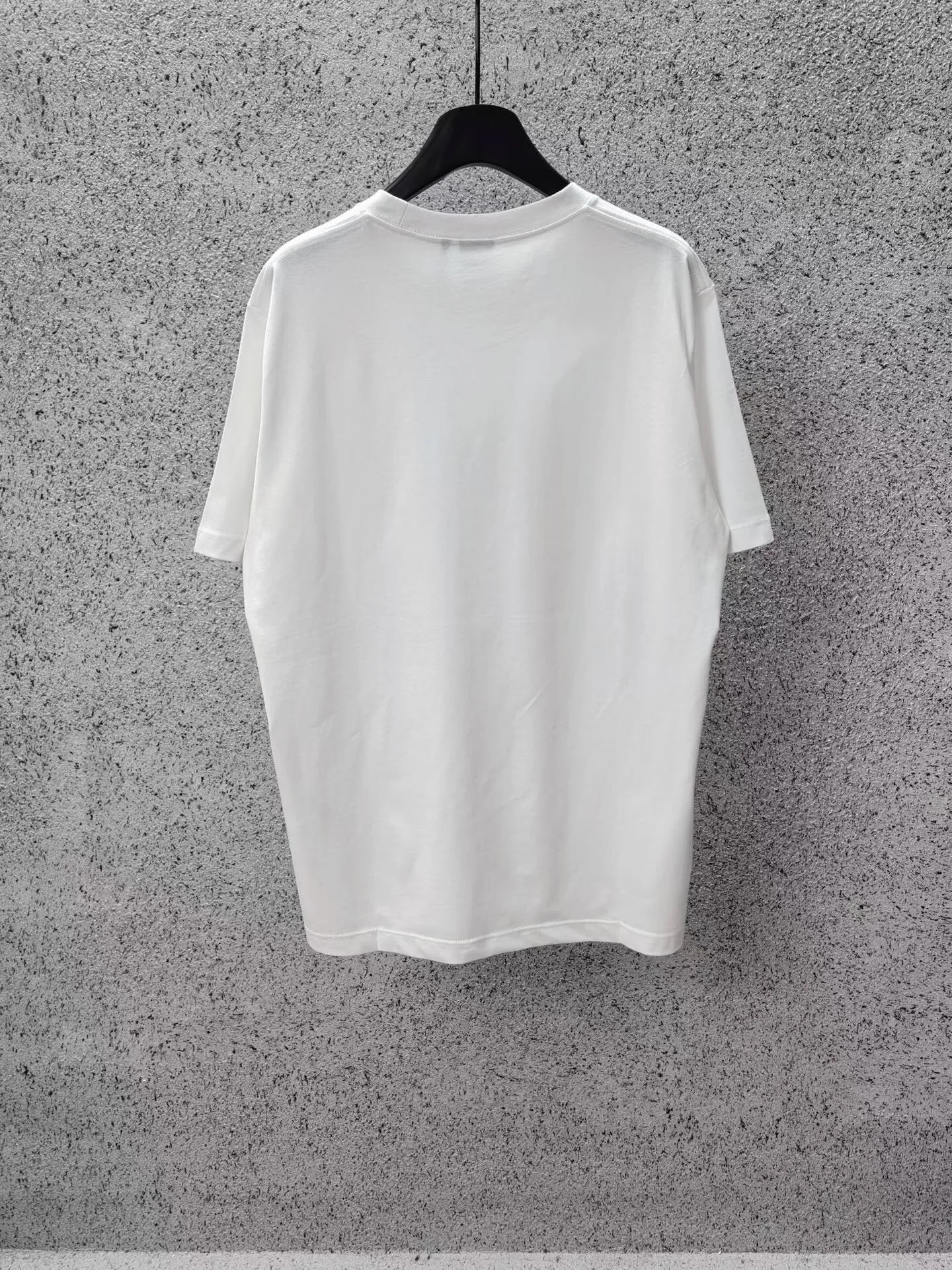 Dior Oversized T-shirt with Dior Embroidery (White) — ビュー 2