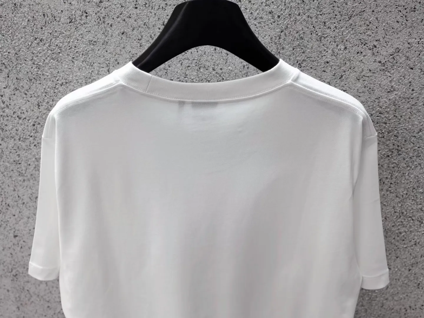 Dior Oversized T-shirt with Dior Embroidery (White) — ビュー 3