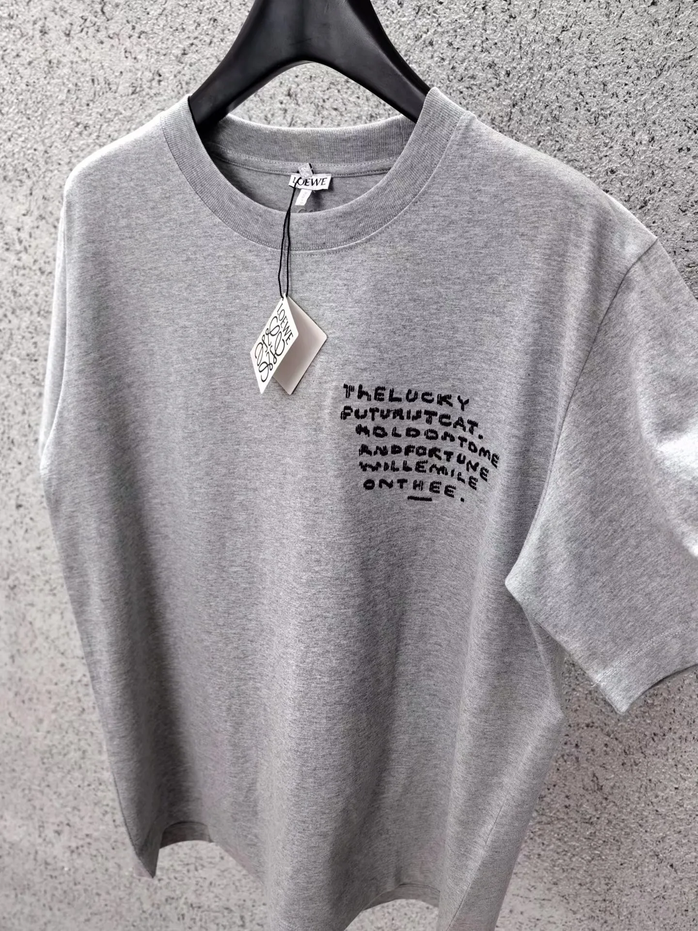 Loewe + Louis Wain Embroidered Cotton-jersey T-shirt (Grey) — ビュー 5