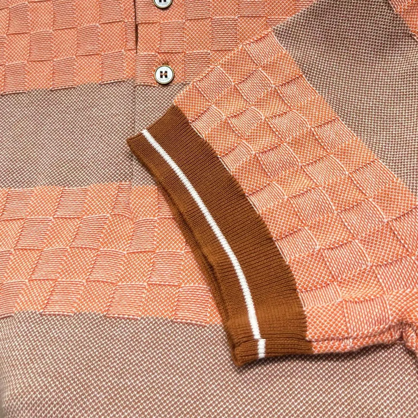 Damier Striped Polo Shirt (Roasted Pecan) — ビュー 3